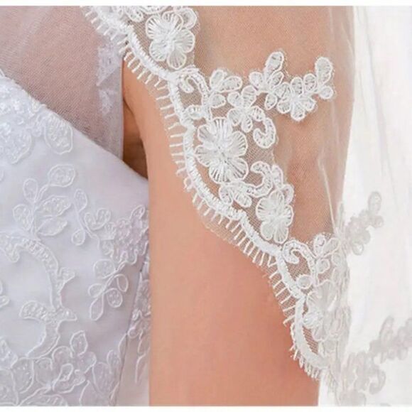 Embroidered Lace and Gems Edge Fingertip Bridal Wedding Veil White With Comb - Picture 4 of 8